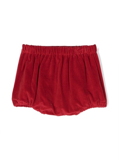 Shop Siola Velvet-effect Decorative-buttons Shorts In Red