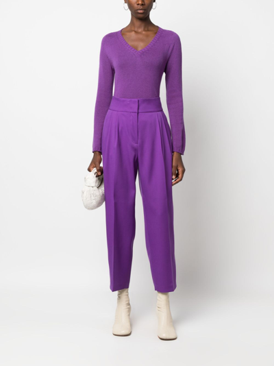 Shop Fabiana Filippi V-neck Cashmere Knitted Top In Purple