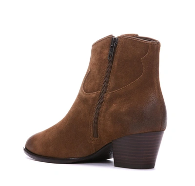Shop Ash Boots In Brown