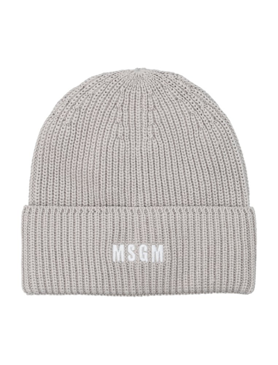 Shop Msgm Logo Embroidered Knitted Beanie In Grey