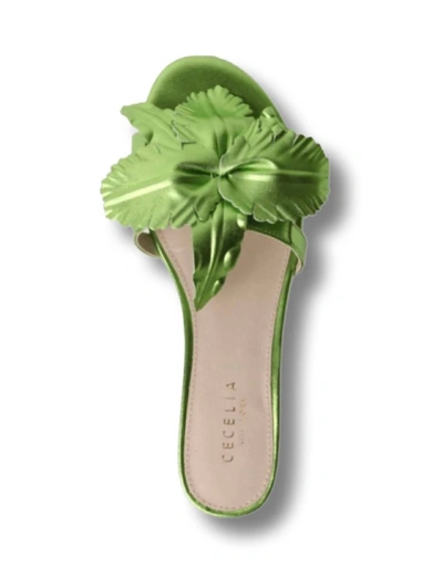Shop Cecelia New York Lila Slide Sandal In Citrus In Green