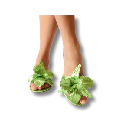 Shop Cecelia New York Lila Slide Sandal In Citrus In Green