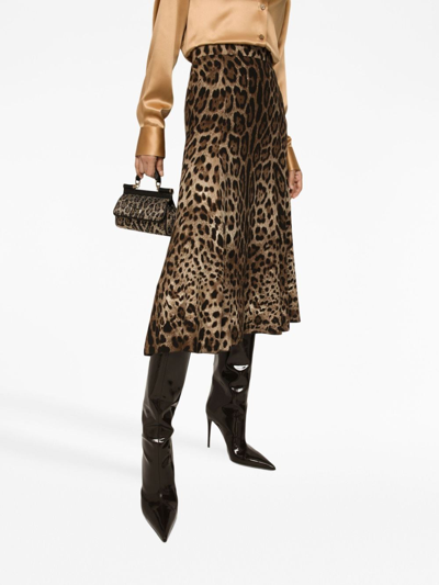 Shop Dolce & Gabbana Leopard-print High-waisted Skirt In Brown