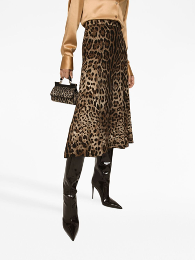 Dolce & Gabbana Leopard-print Stretch-crepe Midi Skirt In Brown