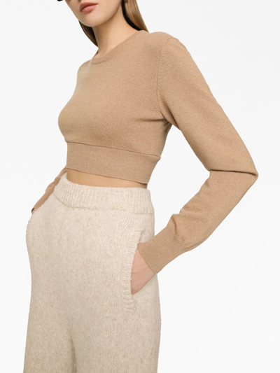 Dolce & Gabbana Cashmere And Wool Cropped Knit Crewneck In Brown