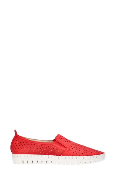 Shop Easy Street Fresh Slip-on Sneaker In Red