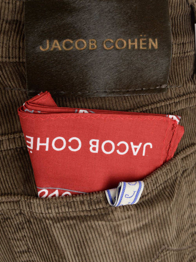 Shop Jacob Cohen Brown Nick Pants