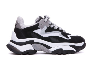Ash Addict Low-top Sneakers In Black