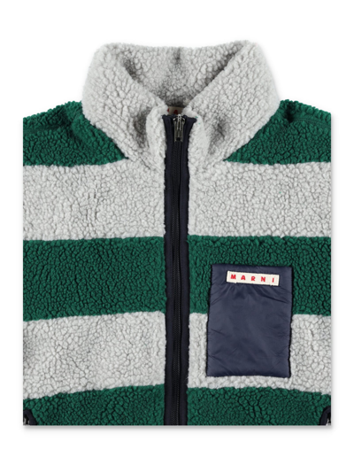 Shop Marni Teddy Striped Jacket In Green/grey