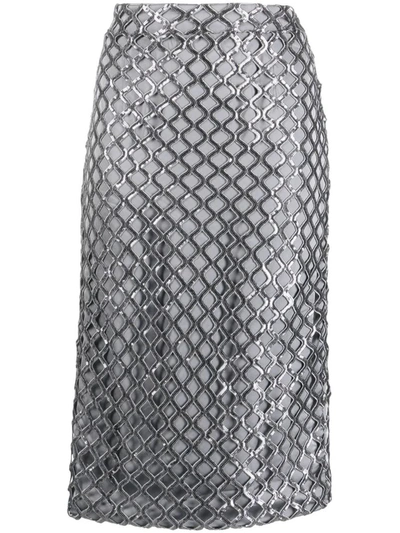 Shop Federica Tosi Midi Skirt Embellished With Sequins In Grey