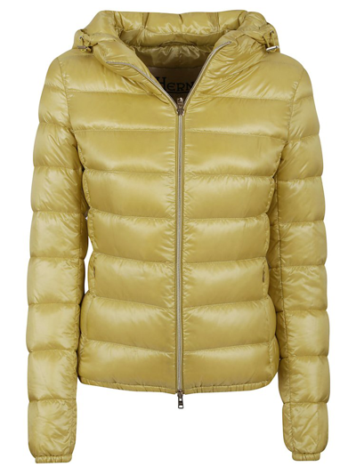 Shop Herno Zipped Padded Jacket In Yellow