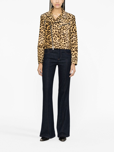 Polo Ralph Lauren Bevelyn Leopard-print Jacket In Brown