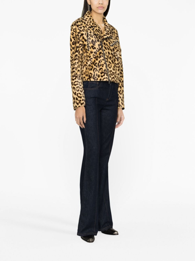 Polo Ralph Lauren Bevelyn Leopard-print Jacket In Brown