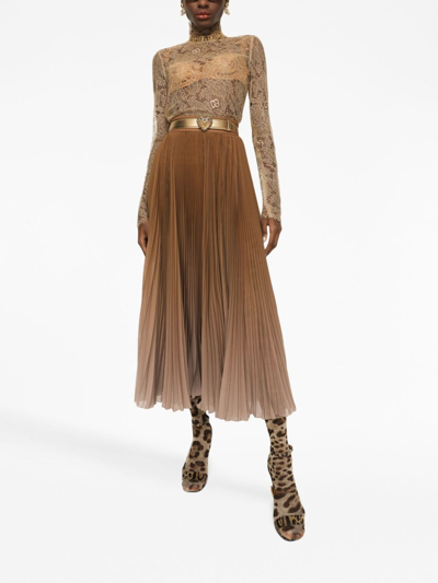 Dolce & Gabbana Sheer-lace High-neck Bouse In Brown