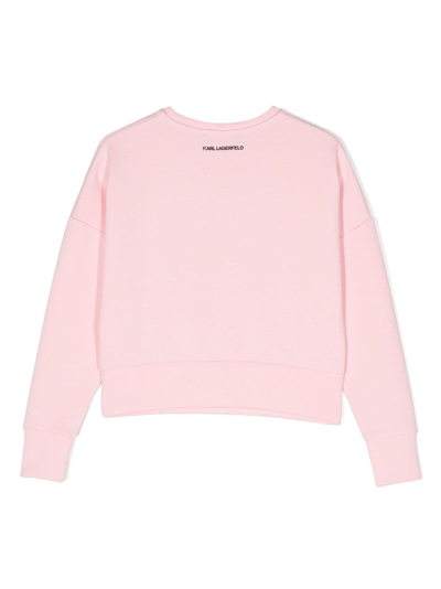 Shop Karl Lagerfeld Choupette-print Cotton Sweatshirt In Pink