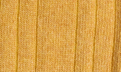 Stems Lux Cashmere Wool Crew Socks In Ochre
