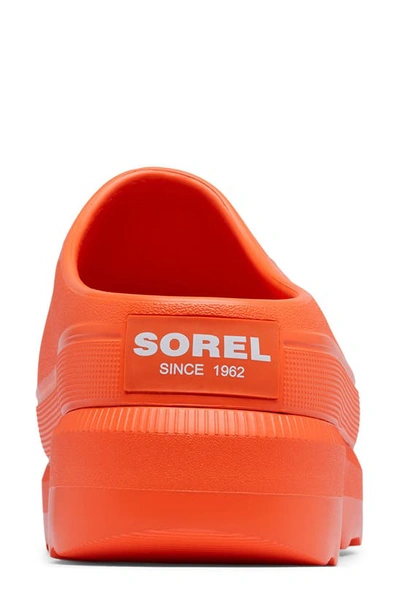 Shop Sorel Caribou Clog In Optimized Orange