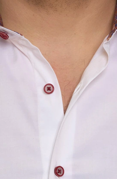 Shop Robert Graham Bevande Embroidered Drink Print Stretch Cotton Button-up Shirt In White