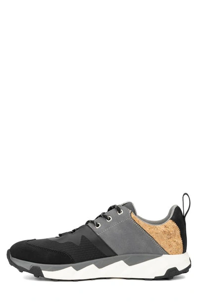 Hybrid Green Label Trillium Mixed Media Sneaker In Black