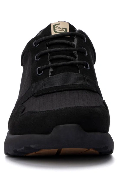 Hybrid Green Label Cliff Sneaker In Black
