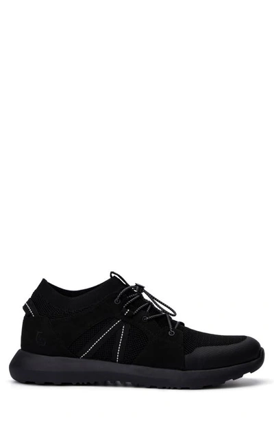 Hybrid Green Label Men's Lynx Low Top Sneakers In Black