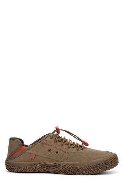 Hybrid Green Label Men's Adventure 2.0 Low Top Sneakers In Brown