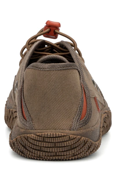 Hybrid Green Label Men's Adventure 2.0 Low Top Sneakers In Brown
