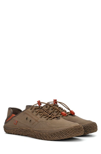 Hybrid Green Label Men's Adventure 2.0 Low Top Sneakers In Brown