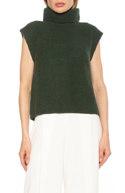 Shop Alexia Admor Jaylani Sleeveless Turtleneck Sweater In Emerald