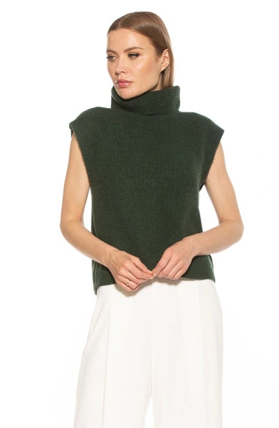 Shop Alexia Admor Jaylani Sleeveless Turtleneck Sweater In Emerald