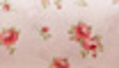Modern Threads Printed 4-piece Sheet Set In Blush