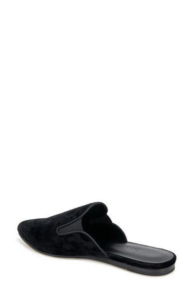 Splendid Liza Pointed Toe Mule In Black Velvet