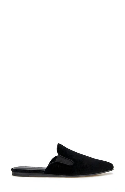 Splendid Liza Pointed Toe Mule In Black Velvet