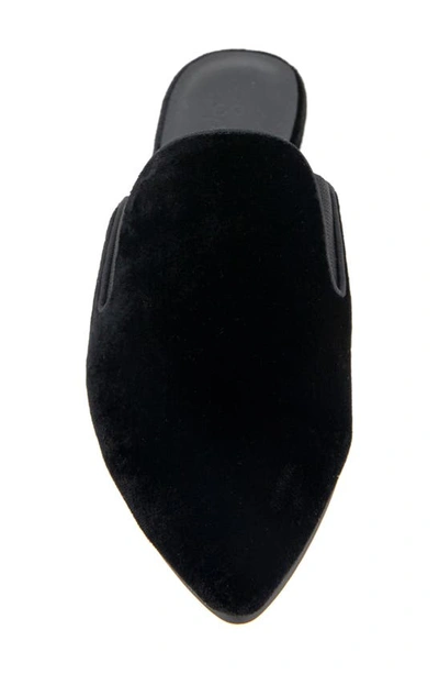 Splendid Liza Pointed Toe Mule In Black Velvet