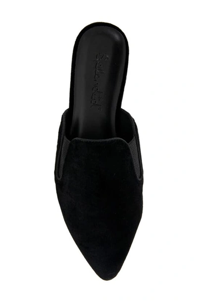 Splendid Liza Pointed Toe Mule In Black Velvet