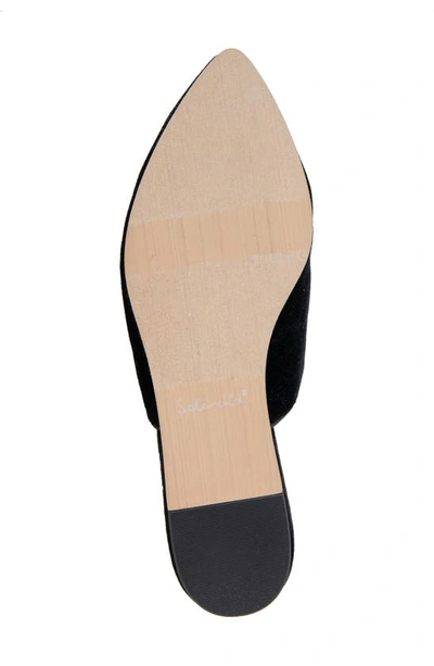 Splendid Liza Pointed Toe Mule In Black Velvet