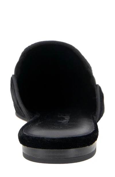 Splendid Liza Pointed Toe Mule In Black Velvet