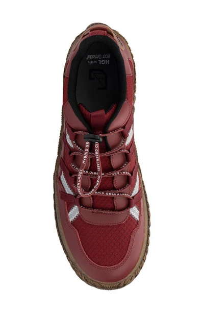 Shop Hybrid Green Label Orion Sneaker In Red