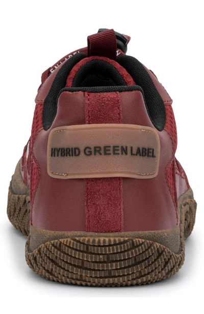 Hybrid Green Label Men's Orion Low Top Sneakers In Red