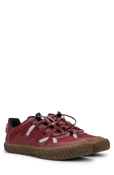 Hybrid Green Label Men's Orion Low Top Sneakers In Red