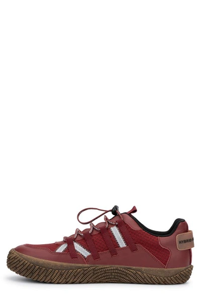 Hybrid Green Label Men's Orion Low Top Sneakers In Red
