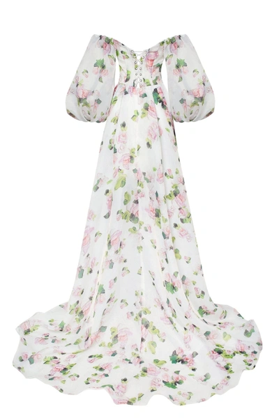 Milla Apple Blossom Elegant Floral Puff Sleeve Maxi Dress In Apple Blossom