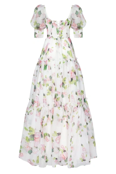 Milla Apple Blossom Feminine Voluminous Sheer Sleeves Dress In Apple Blossom