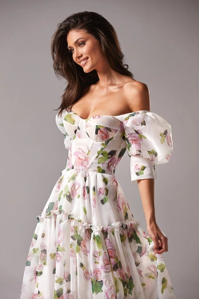 Milla Apple Blossom Feminine Voluminous Sheer Sleeves Dress In Apple Blossom