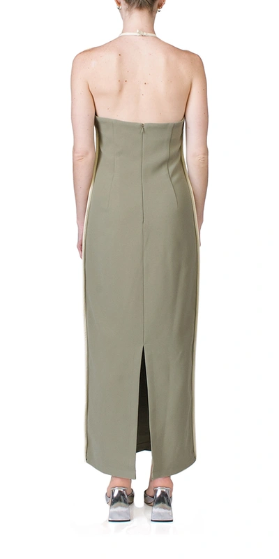 Paris Georgia Nassia Dress In Khaki & Cream