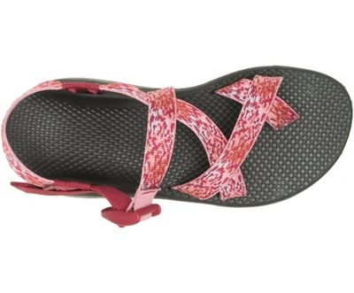 Shop Chaco Women's Z/cloud 2 Sandals In Spray Rhubarb In Multi