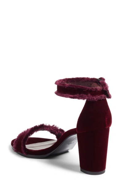 Shop Stuart Weitzman Frayed Ankle Strap Sandal In Bordeaux Velvet