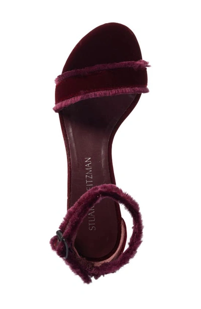 Shop Stuart Weitzman Frayed Ankle Strap Sandal In Bordeaux Velvet