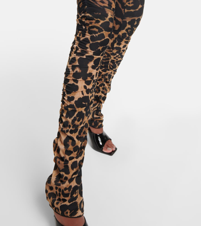 Shop Blumarine Leopard-print Jersey Leggings In Multicoloured