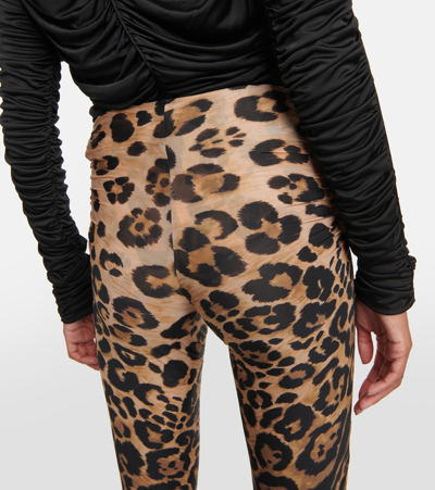 Shop Blumarine Leopard-print Jersey Leggings In Multicoloured